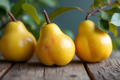 découvrez comment reconnaître un coing mûr grâce à ces trois signes simples et pratiques pour choisir le fruit parfait.