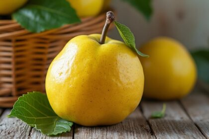 découvrez comment reconnaître un coing mûr grâce à ces trois signes simples et fiables pour profiter de son goût optimal.