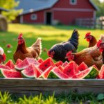 découvrez les bienfaits de la pastèque pour les poules et apprenez quelle quantité leur offrir pour une alimentation saine et équilibrée.