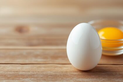 découvrez tout ce qu’il faut savoir sur le poids normal d’un œuf de poule, ses variations et son importance pour la cuisine et l’alimentation.