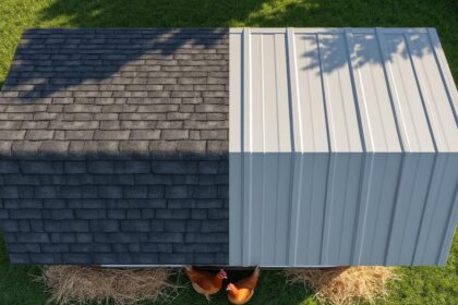 découvrez les avantages et inconvénients des toits bitumés et en plastique pour poulaillers afin de faire le meilleur choix pour protéger votre espace poulailler.