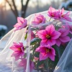 découvrez les meilleures astuces pour protéger et entretenir votre bougainvillier en extérieur pendant l'hiver afin qu'il reste vivant et fleuri toute la saison froide.