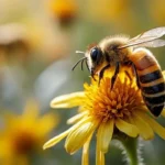 Abeille et apiculture : les bonnes pratiques pour un rucher durable