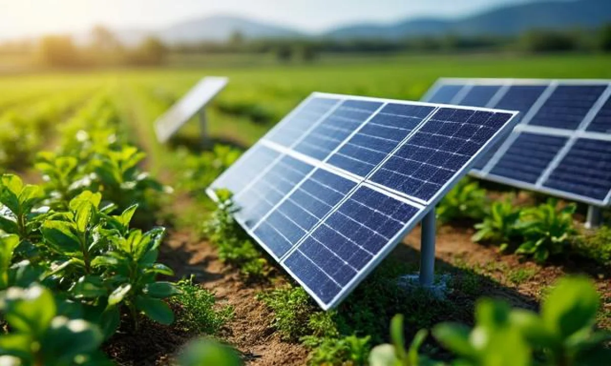 Agrivoltaïsme : cette centrale solaire qui transforme les terres agricoles