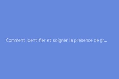 Comment identifier et soigner la présence de gros vers blancs dans la terre