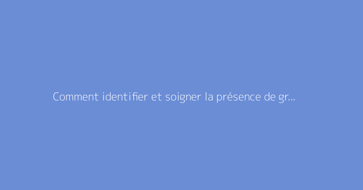 Comment identifier et soigner la présence de gros vers blancs dans la terre
