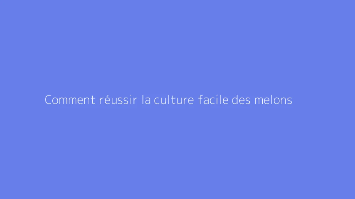 Comment réussir la culture facile des melons