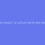 Comment réussir la culture facile des melons