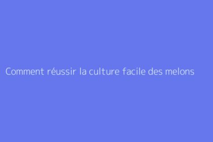 Comment réussir la culture facile des melons