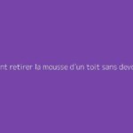 Comment retirer la mousse d’un toit sans devoir y monter