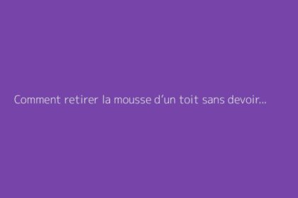 Comment retirer la mousse d’un toit sans devoir y monter