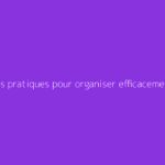Conseils pratiques pour organiser efficacement une serre de 12 m²