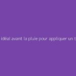 Délai idéal avant la pluie pour appliquer un traitement anti-mousse sur le toit