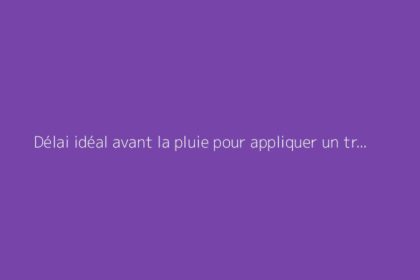 Délai idéal avant la pluie pour appliquer un traitement anti-mousse sur le toit