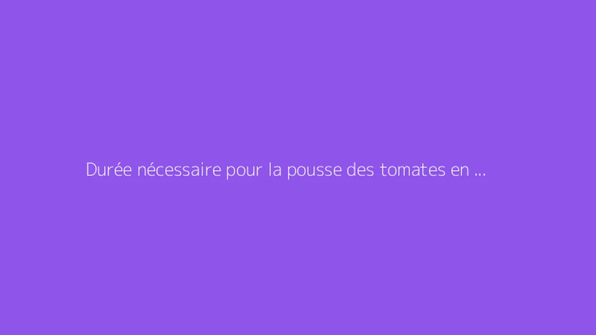 Durée nécessaire pour la pousse des tomates en serre