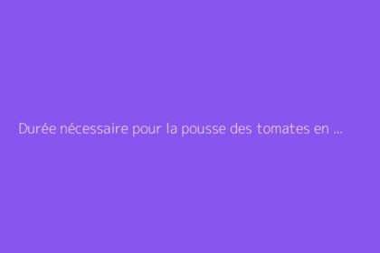 Durée nécessaire pour la pousse des tomates en serre