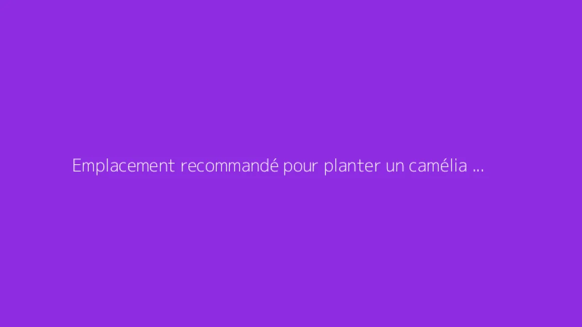Emplacement recommandé pour planter un camélia et assurer une belle floraison