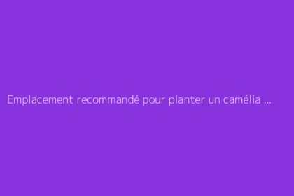 Emplacement recommandé pour planter un camélia et assurer une belle floraison