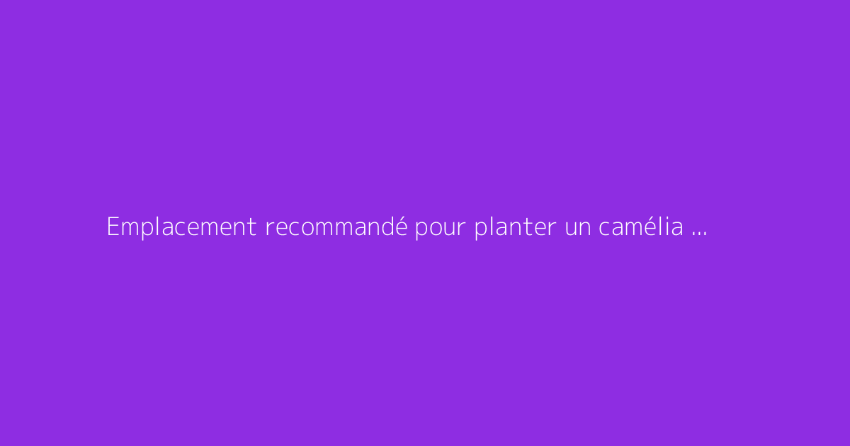 Emplacement recommandé pour planter un camélia et assurer une belle floraison