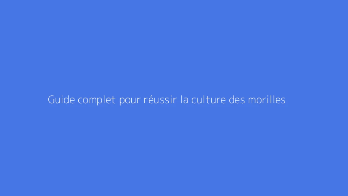 Guide complet pour réussir la culture des morilles