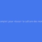 Guide complet pour réussir la culture des morilles