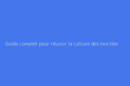 Guide complet pour réussir la culture des morilles