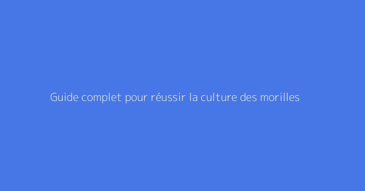 Guide complet pour réussir la culture des morilles