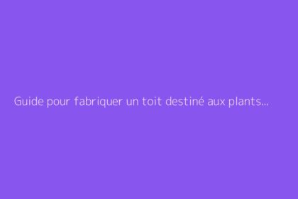 Guide pour fabriquer un toit destiné aux plants de tomates