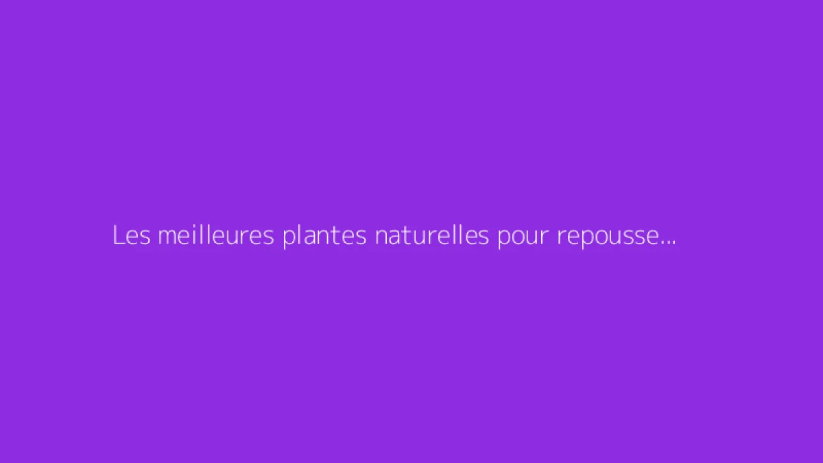 Les meilleures plantes naturelles pour repousser les moustiques