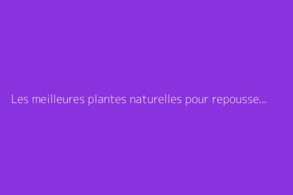 Les meilleures plantes naturelles pour repousser les moustiques