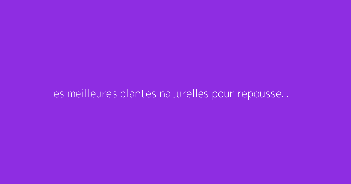 Les meilleures plantes naturelles pour repousser les moustiques