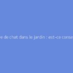 Litière de chat dans le jardin : est-ce conseillé ?