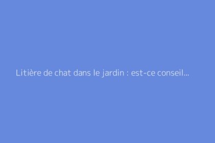 Litière de chat dans le jardin : est-ce conseillé ?