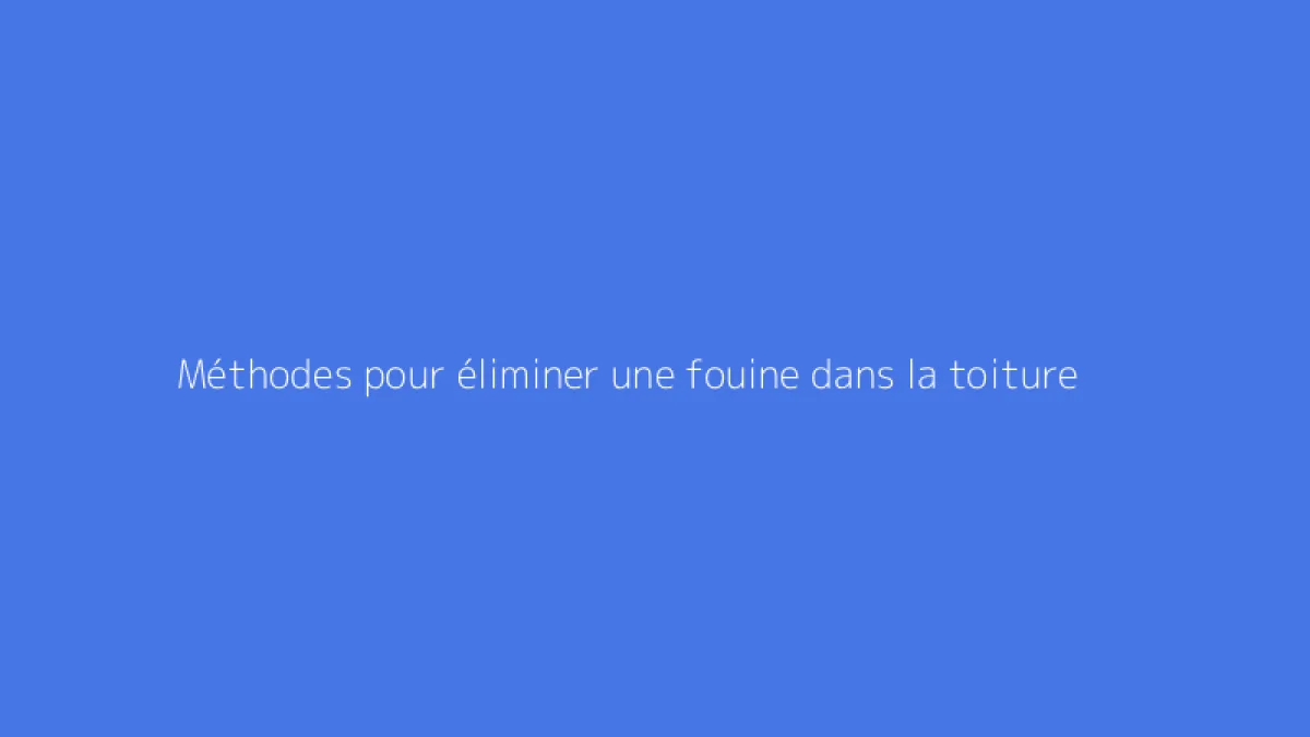 Méthodes pour éliminer une fouine dans la toiture