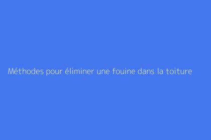 Méthodes pour éliminer une fouine dans la toiture