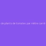 Nombre de plants de tomates par mètre carré en serre ou en pleine terre