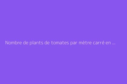Nombre de plants de tomates par mètre carré en serre ou en pleine terre