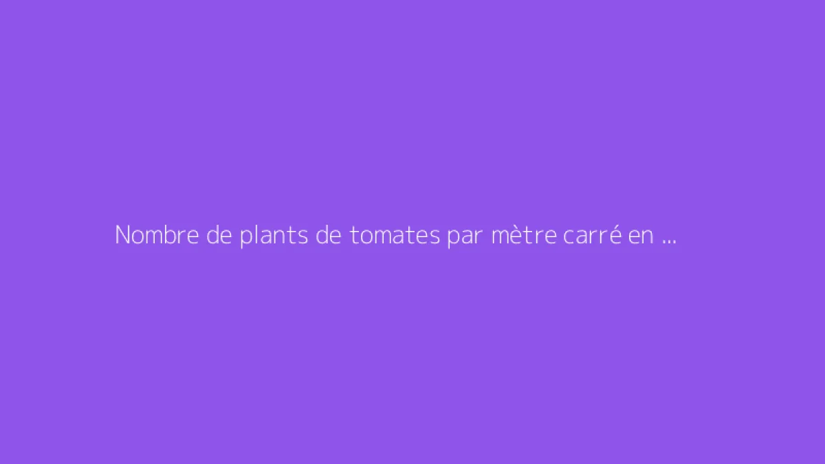 Nombre de plants de tomates par mètre carré en serre ou en pleine terre