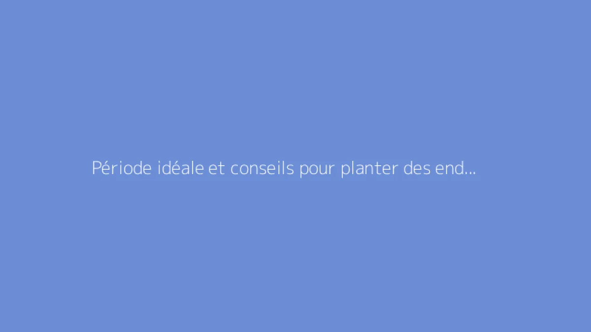Période idéale et conseils pour planter des endives