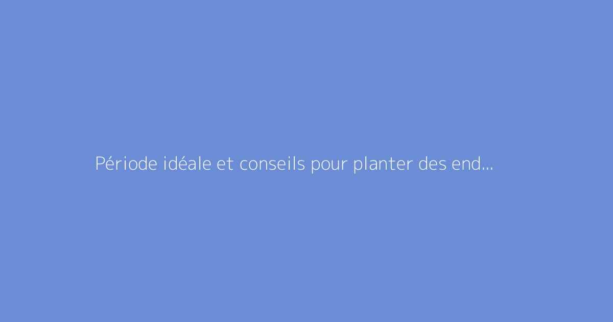 Période idéale et conseils pour planter des endives