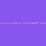 Plantation de concombres : recommandations de distance et astuces