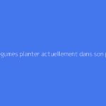 Quels légumes planter actuellement dans son potager ?
