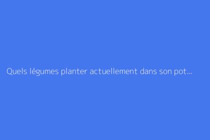 Quels légumes planter actuellement dans son potager ?