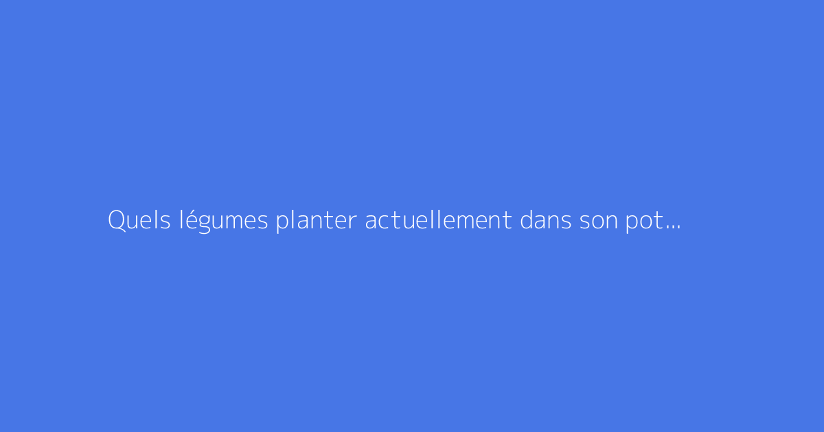 Quels légumes planter actuellement dans son potager ?