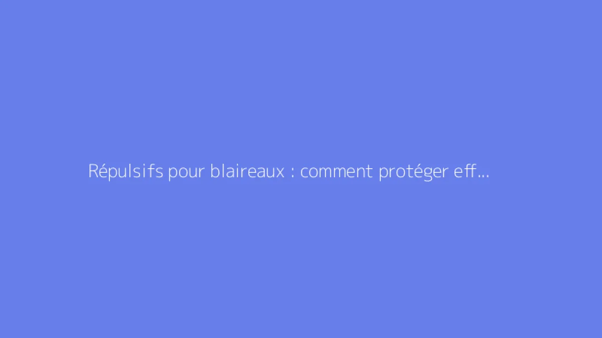 Répulsifs pour blaireaux : comment protéger efficacement son jardin