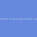 Se débarrasser des puces dans le jardin : quelles solutions ?