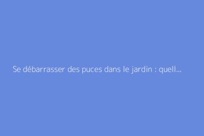 Se débarrasser des puces dans le jardin : quelles solutions ?