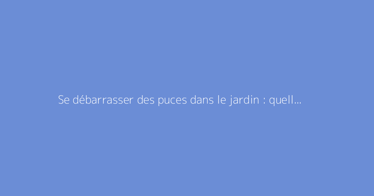 Se débarrasser des puces dans le jardin : quelles solutions ?