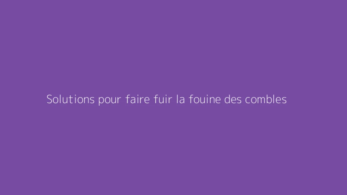 Solutions pour faire fuir la fouine des combles