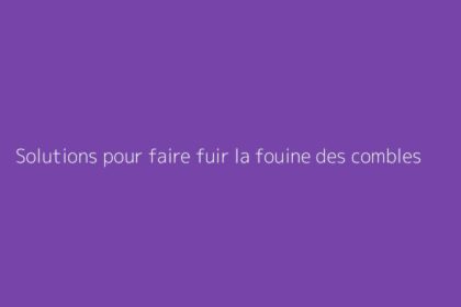 Solutions pour faire fuir la fouine des combles